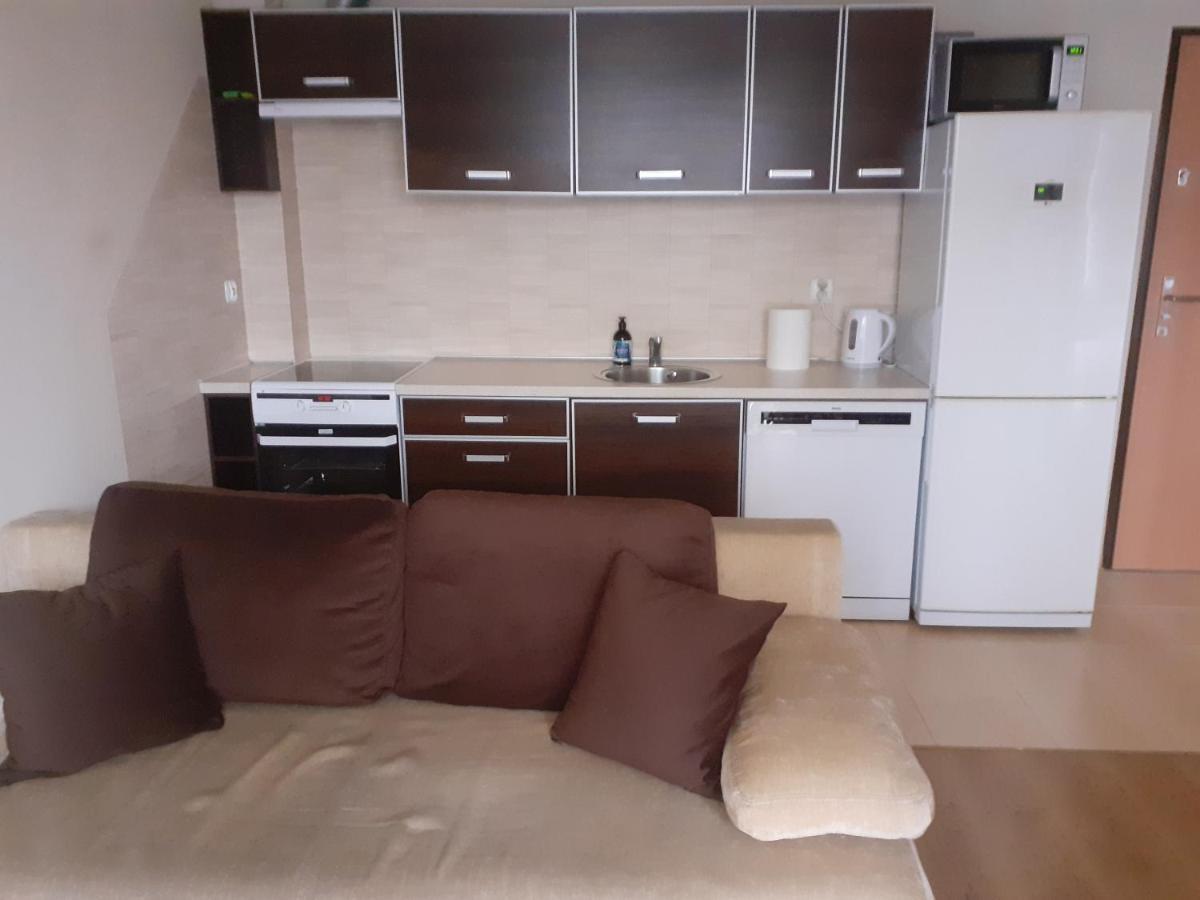 Sloneczny Apartament Z Malym Ogrodkiem ベジヘロボ エクステリア 写真