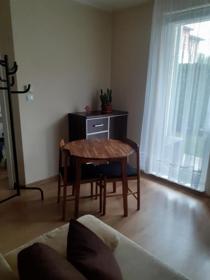 Sloneczny Apartament Z Malym Ogrodkiem ベジヘロボ エクステリア 写真
